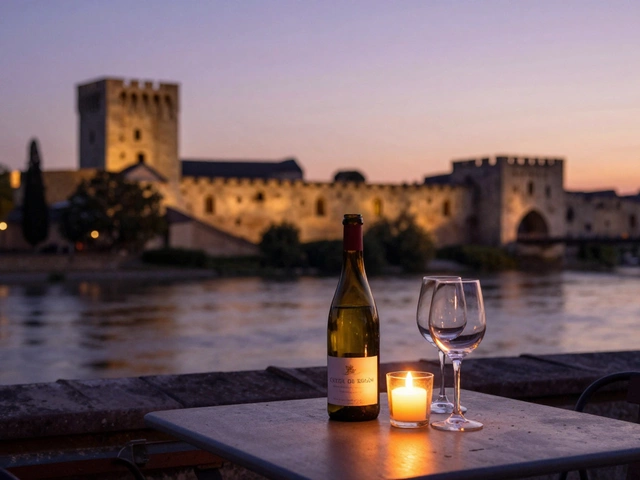 Superb Nights in Avignon: What to Expect from an Escort Experience